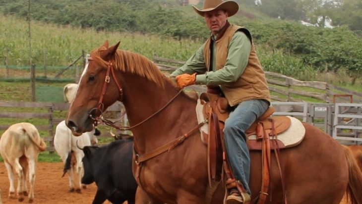 Comment faire du cheval avec un look western ?